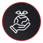 singular_icon_02